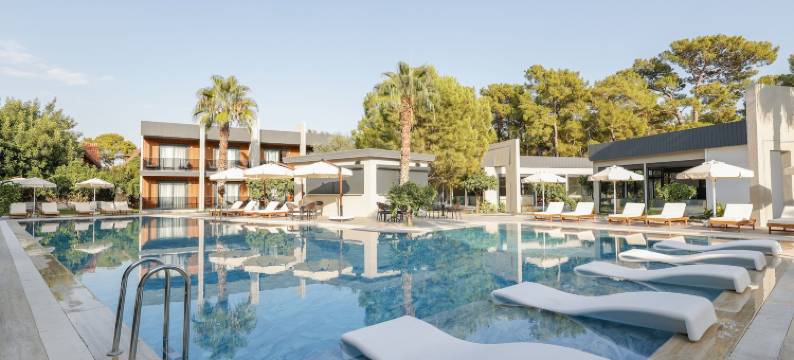 森林里的酒店(Forest In Hotel)图片