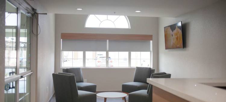 杰克森维尔勒琼营麦客达温德姆酒店(Microtel Inn & Suites by Wyndham Camp Lejeune/Jacksonville)图片