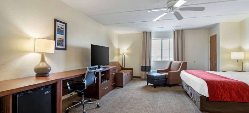 基西米-南布埃纳文图拉湖舒适酒店(Comfort Inn Kissimmee-Lake Buena Vista South)图片