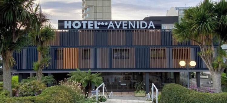 阿维尼达酒店(Hotel Avenida)图片