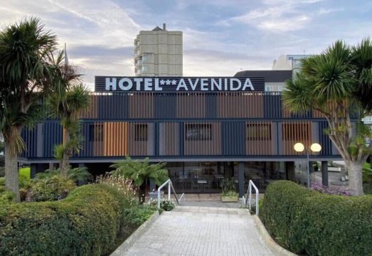 Hotel Avenida Hotel Overview