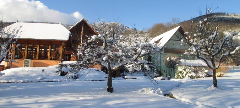 樱桃园住宿加早餐旅馆(Maison d'hôtes la Cerisaie)图片