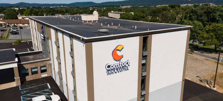 舒适酒店及套房-怀奥米辛雷丁(Comfort Inn & Suites Wyomissing-Reading)图片