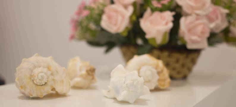 262号套房酒店(The Suite 262)图片