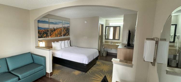 塔斯卡卢萨阿拉巴马大学戴斯套房酒店(Days Inn & Suites by Wyndham Tuscaloosa - Univ. of Alabama)图片