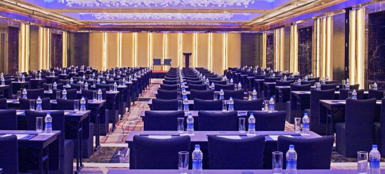 德里机场丽笙世嘉酒店(Radisson Blu Plaza Delhi)图片