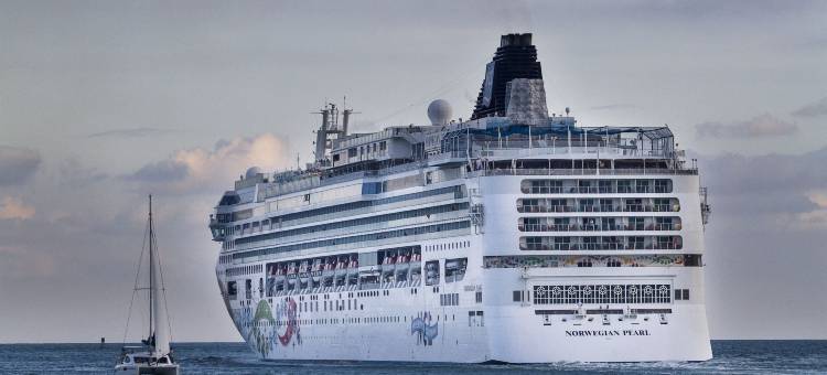 南迈阿密-科勒尔盖布尔斯罗德威旅馆(Rodeway Inn South Miami - Coral Gables)图片