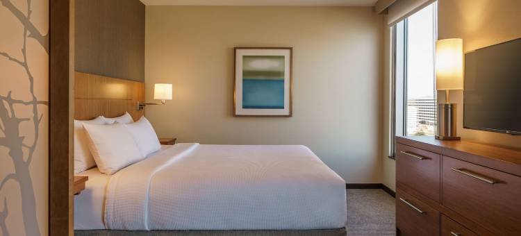 休斯顿/购物中心凯悦嘉轩酒店(Hyatt Place Houston/Galleria)图片