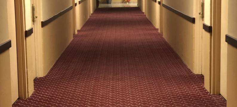 狼之旅馆酒店(Wolf Inn Hotel)图片