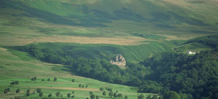 多勒公寓 41 号酒店(Dollar Apartments-41 Bridge Street)图片