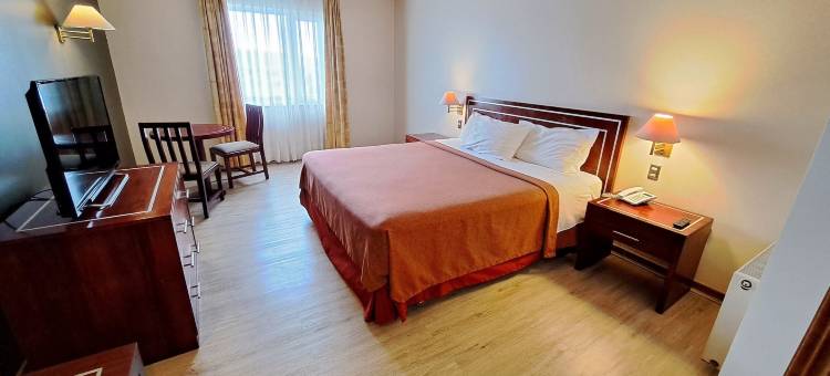 圣地亚哥德阿尔马格罗蒙特港酒店(Hotel Diego de Almagro Puerto Montt)图片