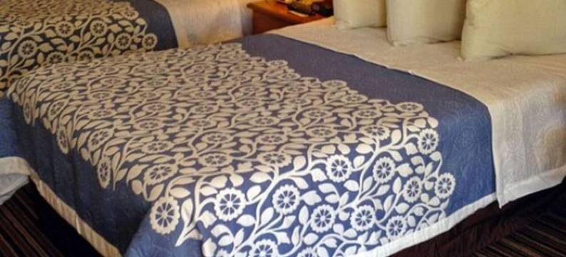 德里德美洲最佳价值酒店(Americas Best Value Inn DeRidder)图片