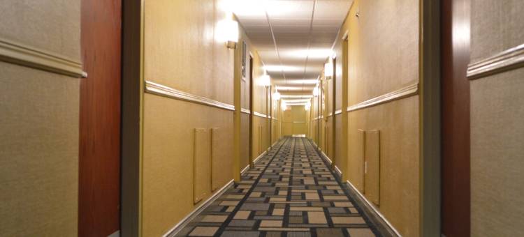 凯隆酒店(Clarion Hotel)图片