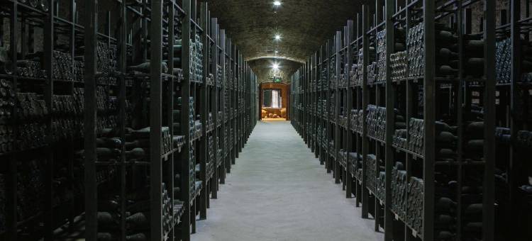 格鲁吉亚齐南达利庄园丽笙精选酒店(Tsinandali Estate, A Radisson Collection Hotel)图片