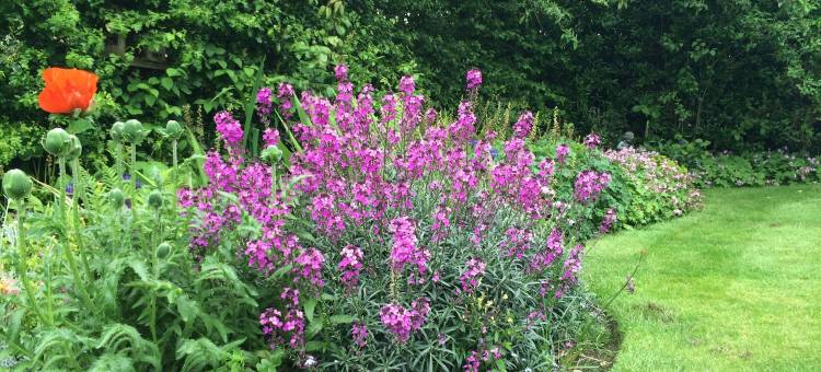 皮克米尔乡间民宿(Pickmere Country House)图片