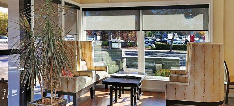 帕罗奥图禅酒店(The Zen Hotel Palo Alto)图片