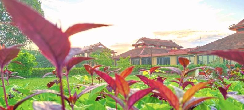 顺化河畔精品SPA度假酒店(Hue Riverside Boutique Resort & Spa)图片