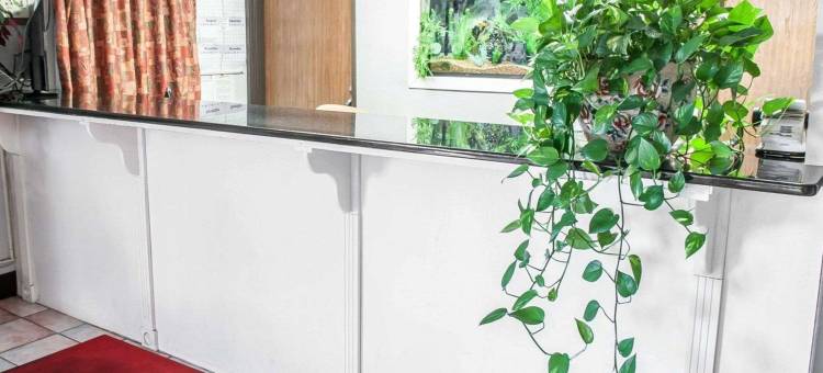 拉斯克鲁塞斯大学区伊克诺旅馆(Econo Lodge Las Cruces University Area)图片