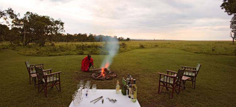 艾勒瓦纳大象佩帕尔露营酒店(Elephant Pepper Camp)图片