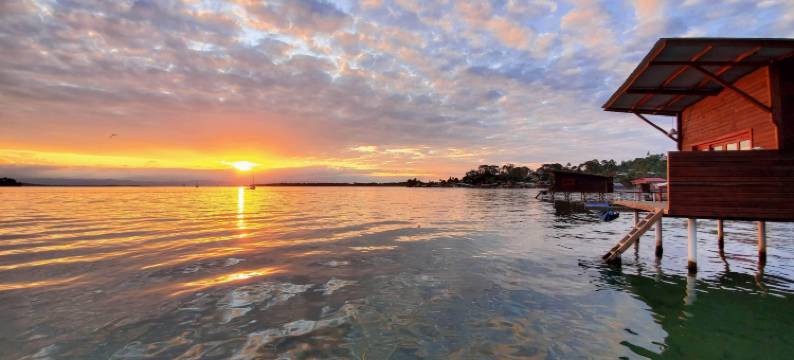 海猴酒店(The Sea Monkey)图片