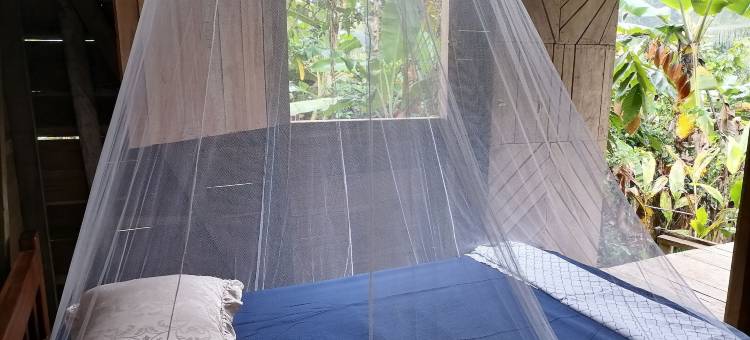 布里布里苏莱(Bribri Ù sule)图片