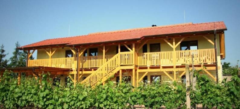 PENZION POD PALAVU 膳宿公寓(Penzion Pod Palavu)图片