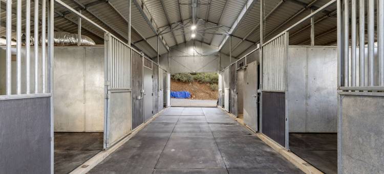 新豪华普雷斯科特猞猁B B 4k平方英尺，可住22人(New Luxury Prescott Lynx B B 4k ft2 Sleeps 22)图片