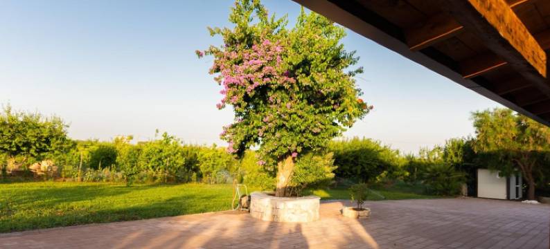 圣安德里亚农庄酒店(Agriturismo Biologico Sant'Andrea)图片