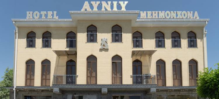 AYNIY酒店(AYNIY Hotel)图片
