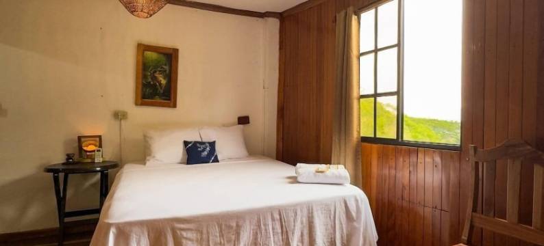 米普埃布洛旅馆(Hostal Raíces de mi Pueblo)图片