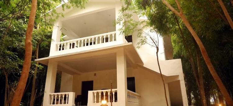 潘纳老虎度假村 - 河边物业(Panna Tiger Resort- Riverside Property)图片