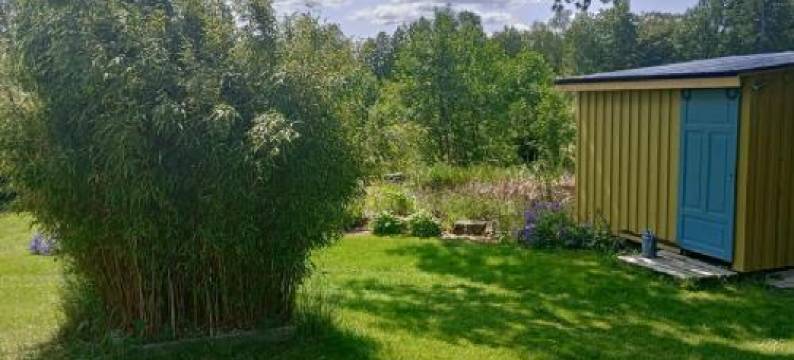 Damwildfarm in Rollerbü Südschweden图片