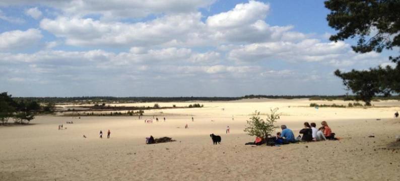 临近朗斯和杜伦斯丘的舒适帐篷小屋(Apartment in Netherlands Near Nature Trails)图片