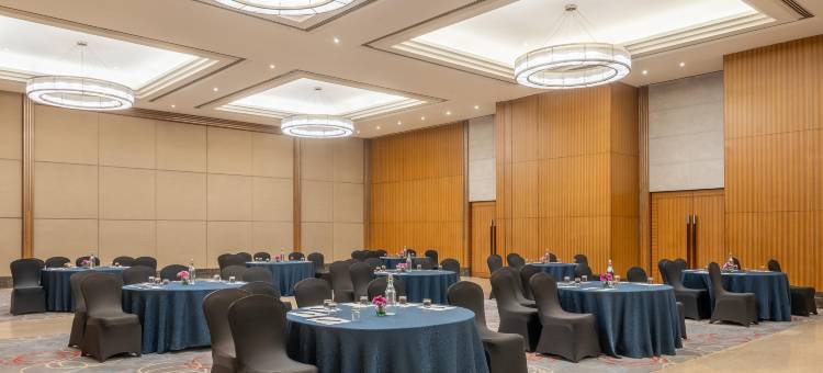 鲁德罗布尔丽笙酒店(Radisson Blu Hotel Rudrapur)图片