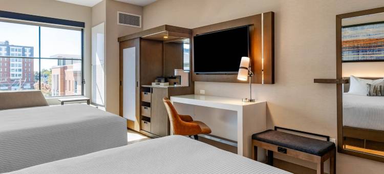 坎布里亚酒店-纽黑文大学区(Cambria Hotel New Haven University Area)图片