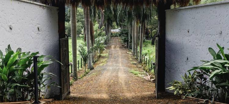 安扎利克精品酒店(Anzalik Hotel Boutique)图片