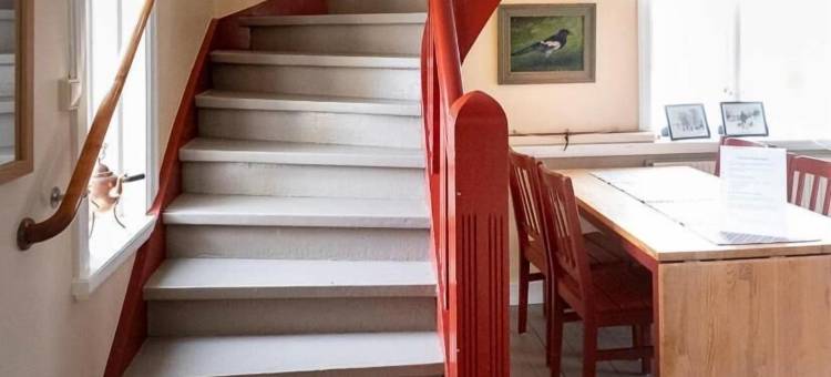 爱娜佛朔乐姆高山酒店(Enaforsholm Fjällgård)图片