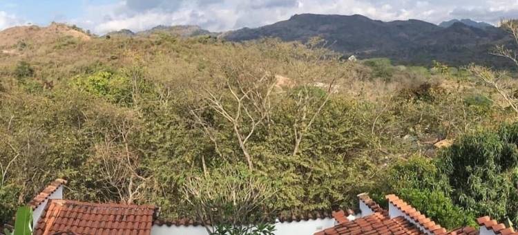 地球之母(Terramaya)图片