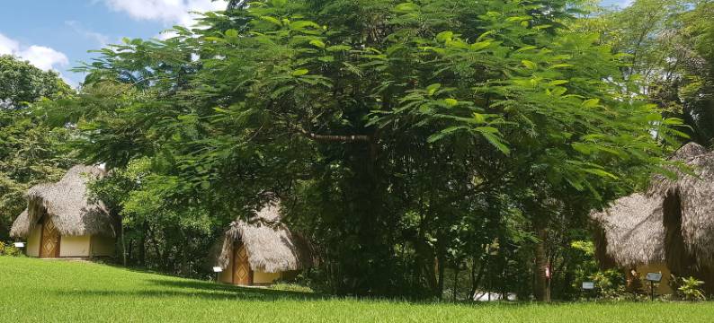 Aldea Huasteca图片