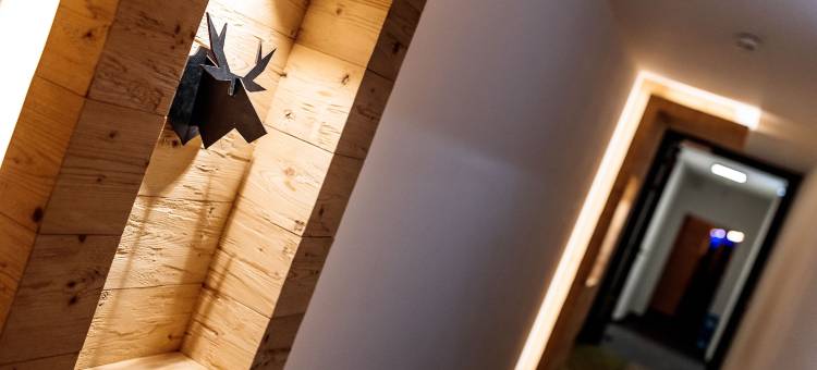 阿尔卑租赁集团卡普伦全景大街套房酒店(Avenida Panorama Suites)图片