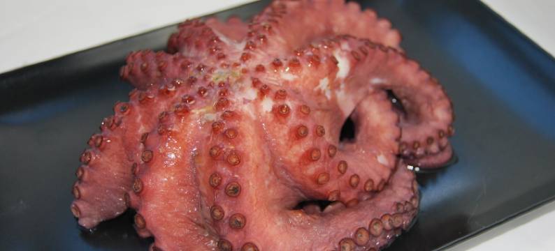 Spa森林海酒店(Hotel Spa Bosque Mar)图片