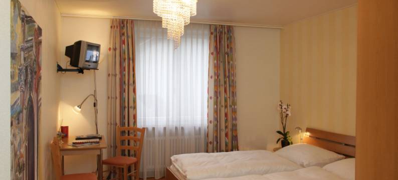 乐得图姆酒店(Hotel Roter Turm)图片