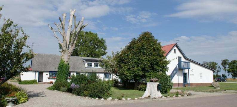 奥斯特卡尔斯加住宿加早餐旅馆(Österlens Karlsgård)图片