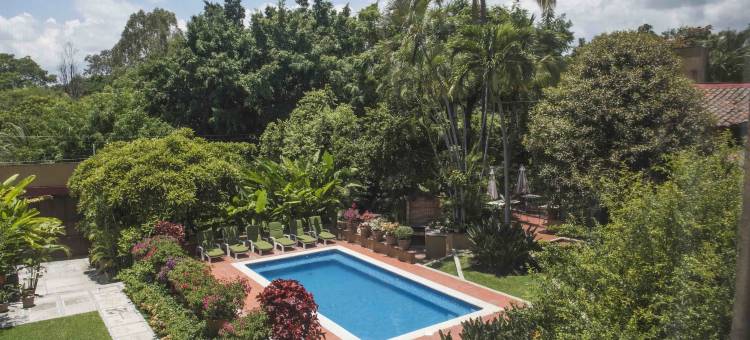 狂兰酒店(Orchidelirium Casa Hotel & Salud Estética)图片