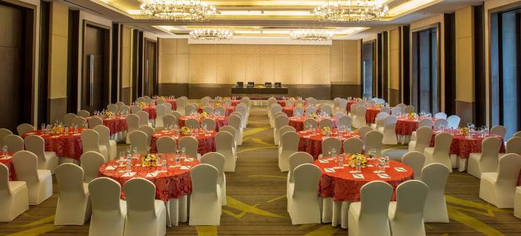 古瓦哈蒂丽笙酒店(Radisson Blu Hotel Guwahati)图片