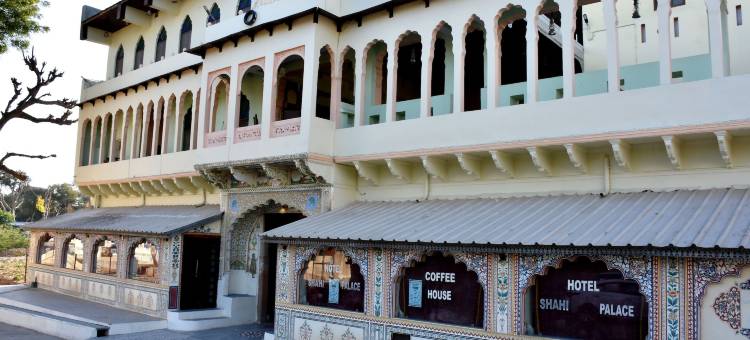 夏希宫酒店(Hotel Shahi Palace Mandawa)图片