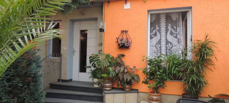 佩希恩 19 酒店(Pension 19)图片