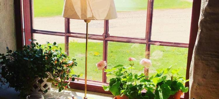 萨尔斯特姆斯加登酒店(Sahlströmsgården)图片