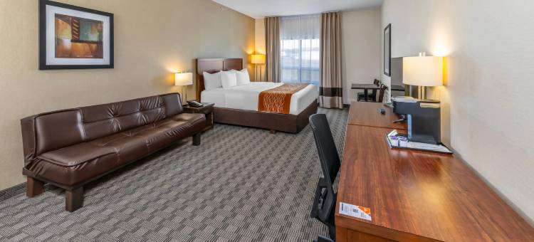 舒适酒店(Comfort Inn)图片