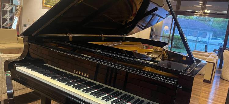 The Gran Resort优雅轻井泽酒店(The Gran Resort Elegante Karuizawa)图片